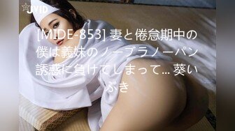 [MIDE-853] 妻と倦怠期中の僕は義妹のノーブラノーパン誘惑に負けてしまって... 葵いぶき