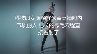 科技园女厕蹲守米黄高情趣内气质丽人 肥长的微毛穴缝直接看射了