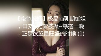 【夜色妩媚】极品哺乳期御姐，口交~无套被操~爆撸一晚，正是欲望最旺盛的时候 (1)