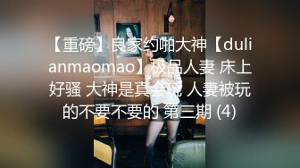 【重磅】良家约啪大神【dulianmaomao】极品人妻 床上好骚 大神是真会玩 人妻被玩的不要不要的 第三期 (4)