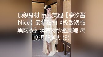 顶级身材 巨乳美腿【奈汐酱Nice】最新私拍《极致诱惑黑网衣》隔着网纱露美鲍 尺度逐渐增大 (3)