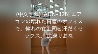 (中文字幕) [ADN-326] エアコンの壊れた真夏のオフィスで、憧れの女上司と汗だくセックス。 広瀬りおな