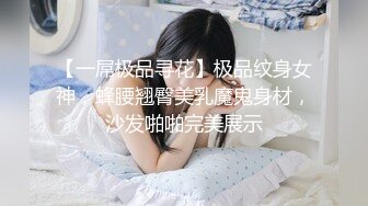 【一屌极品寻花】极品纹身女神，蜂腰翘臀美乳魔鬼身材，沙发啪啪完美展示